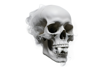 White Smoke Skull Shape Creepy Realistic Digital Art