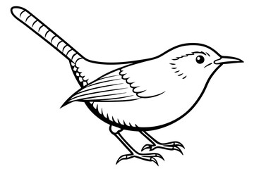 wren silhouette line art vector illustration with a white background