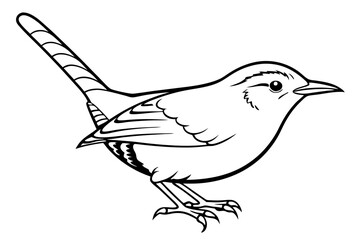wren silhouette line art vector illustration with a white background