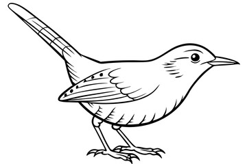 wren silhouette line art vector illustration with a white background