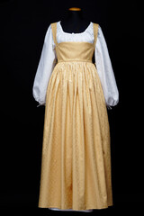 Traditional European Renaissance-Style Dress Featuring Golden Skirt and White Blouse..