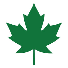 Vector Silhouette of a Maple Leaf Close Up