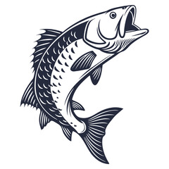 silhouette fish on white background