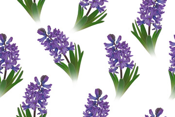 Obraz premium Vintage Floral seamless pattern. Spring Flower illustration. Hyacinths in Full Bloom. Luxurious garden flowers on white background. Template for textiles, wallpaper, wrapping paper