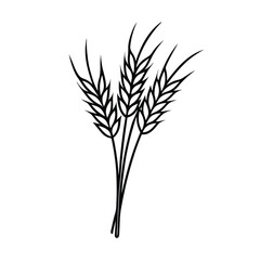 elegant wheat bundle black line art vector on white for web and graphic