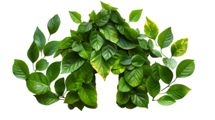 Leaf-Covered Green House Sustainable Eco Design with Organic Elements.