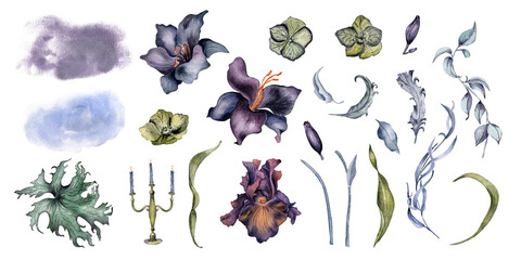 Vintage watercolor clipart of purple lilies, dark iris, foliage, wavy branches , feathers, and candelabra isolated. Hand painted floral set in moody tones for gothic wedding invitations, black decor.