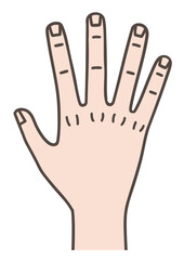 手の甲のイラスト