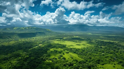 Fototapeta premium A vast green landscape under a blue sky with fluffy clouds.