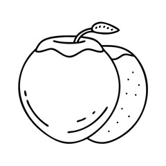 fresh coconut icon, fresh coconut line art - simple line art of fresh coconut, perfect for fresh coconut logos and icons