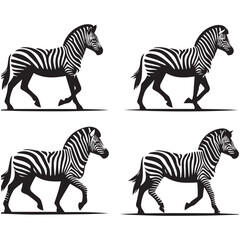 Fototapeta premium create zebra Silhouette with white background