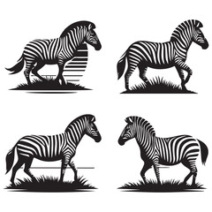 create zebra Silhouette with white background