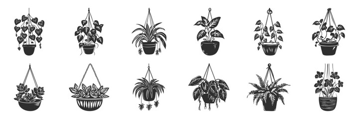 Hanging Houseplants Silhouette Set. Indoor Plant Decor And Greenery Design Elements Isolated Vector Illustration Collection
