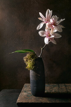 Elegant Magnolia Flowers In Dark Vase