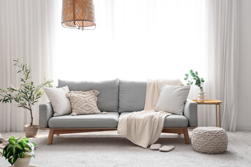 Comfortable sofa with plaid, houseplants and pouf in interior of living room