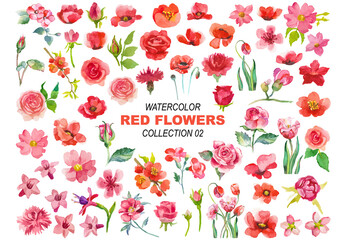 Vector watercolor painted red flowers clipart Hand drawn elements isolated on white background