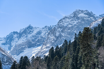 Karachay-Cherkessia. Dombay 2025. Majestic snow-capped mountain range towers above forested valley, showcasing nature's grandeur and serenity under clear blue sky. Nature concept for design.