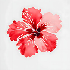 Hibiscus Floral Beauty: A vibrant and delicate depiction of a hibiscus flower in full bloom, its petals a soft gradation of red hues, is a symbol of beauty.