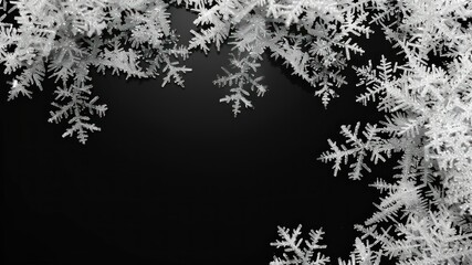 Obraz premium Intricate snowflakes frame a dark background, evoking winter's beauty.
