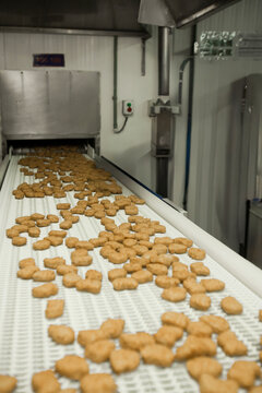 Breaded chicken production line in food factory  automated conveyor belt system in industrial food processing plant
