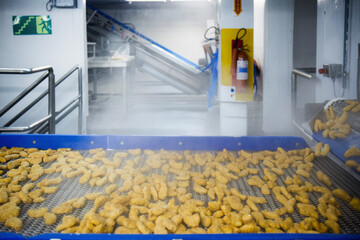 Breaded chicken production line in food factory  automated conveyor belt system in industrial food processing plant