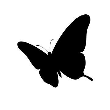 Sideways Flying Butterfly Silhouette Vector
