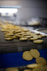 Breaded chicken production line in food factory  automated conveyor belt system in industrial food processing plant