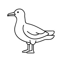 seagull icon, seagull line art - simple line art of seagull, perfect for seagull logos and icons