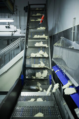 Breaded chicken production line in food factory  automated conveyor belt system in industrial food processing plant