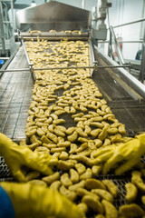Breaded chicken production line in food factory  automated conveyor belt system in industrial food processing plant
