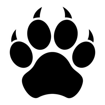 Bear paw print with claws vector graphic.
