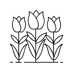 tulips in ottawa icon, tulips in ottawa line art - simple line art of tulips in ottawa, perfect for tulips in ottawa logos and icons