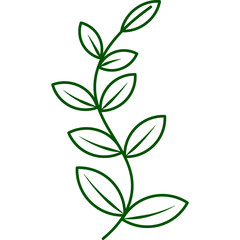 Hand Drawn Leaf  Line