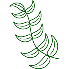 Hand Drawn Leaf  Line