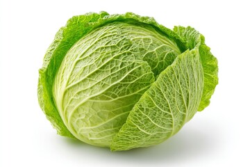Fototapeta premium Green Cabbage on White Background