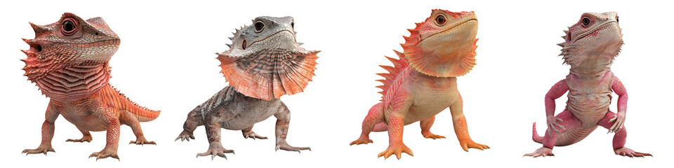 Naklejka premium Colorful Bearded Dragon Lizards in Various Poses