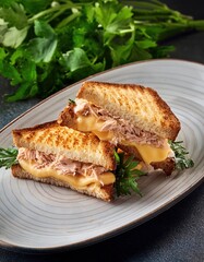 Grilled tuna melt sandwich with cheese and fresh herbs on a plate