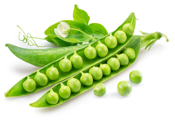 Opened ripe pea pod with pea seeds isolated on white background. File contains clipping path.
