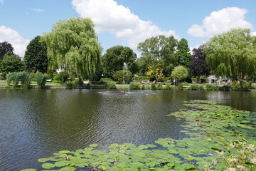 Teich mit Trauerweide im Rosarium Uetersen