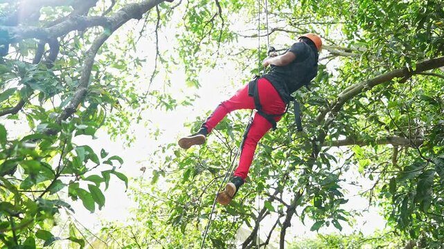 A low-angle shot captures a young Indian girl skillfully climbing a tall tree branch with a rope