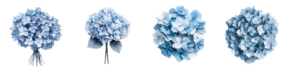 Beautiful blue hydrangea flower bouquet