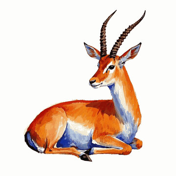 Prance in hues antelope isolated watercolor vector illustration svg