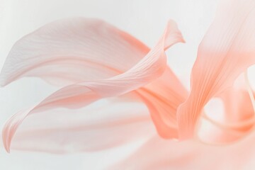 Naklejka premium Delicate, pastel-toned floral petals