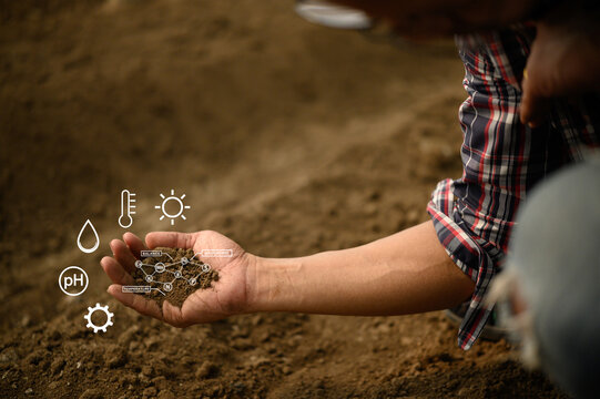 Msn inspecting soil with futuristic icons showing nutrient composition, pH and temperature levels