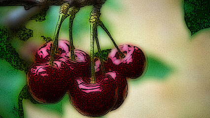 A cluster of red cherries displayed on a white background.