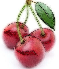 A cluster of red cherries displayed on a white background.
