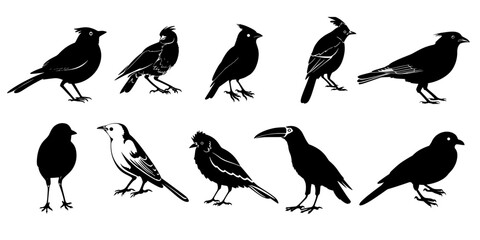 Fototapeta premium Collection of black fill birds SVG. illustration on transparent background.
