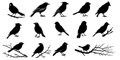 Fototapeta premium Collection of black fill birds SVG. illustration on transparent background.