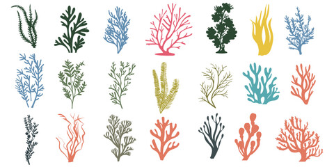 Set of coral cute cartoon hand draw SVG. illustration set tropical and seaweed underwater flowing clip art transparent background.