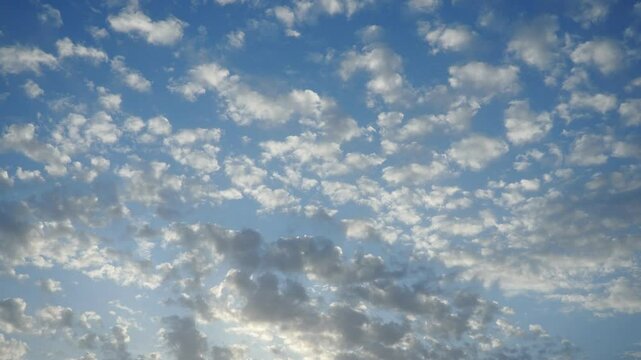 Altocumulus high cumulus heaped cloud genus belongs to stratocumuliform. Globular masses or rolls in layers or patches. Cumuliform stratocumuliform clouds, altocumulus signifies convection. Blue sky.
